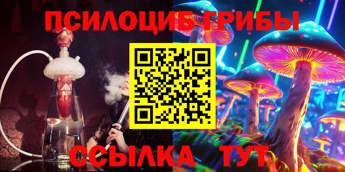 Псилоцибиновые грибы мицелий Юрга