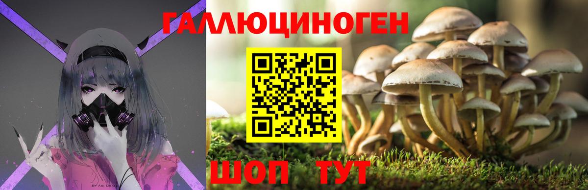 Юрга  Галлюциногенные грибы мухоморы  Вход с VPN 